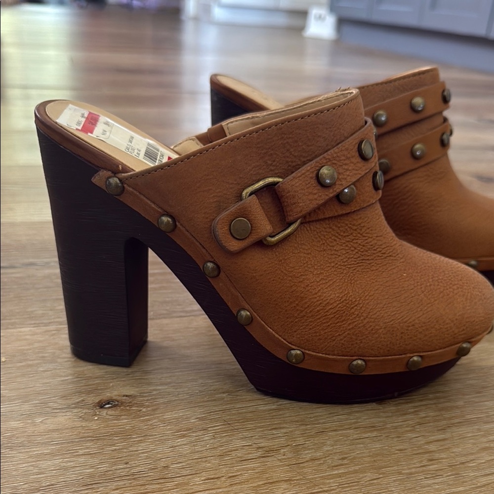 Carlos by Carlos Santana Brown Suede Mules with Chunky Heel
